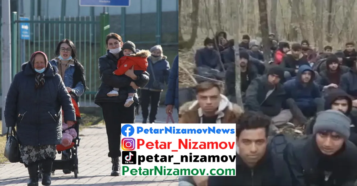 Петър Низамов